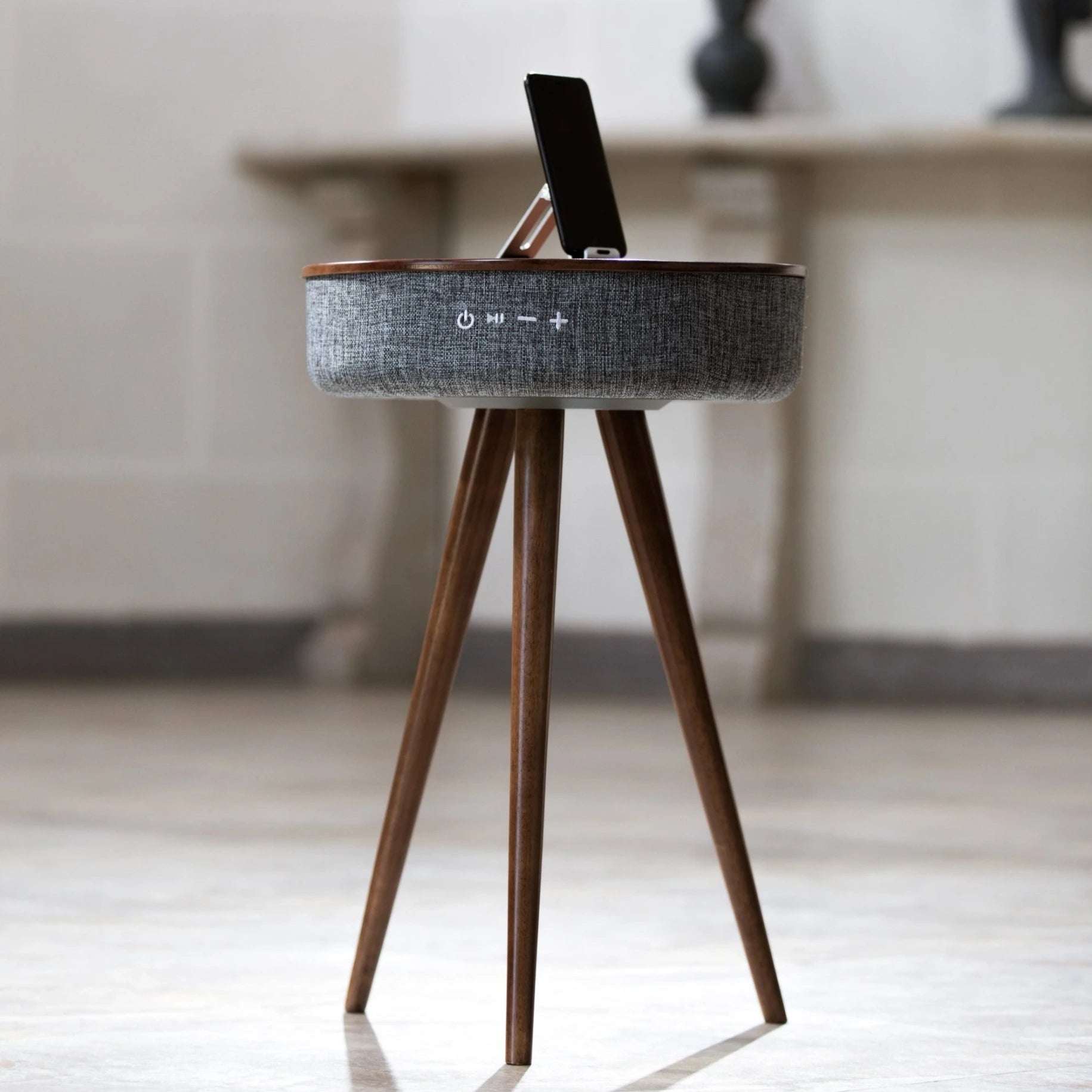 MERSENNE SPEAKER TABLE